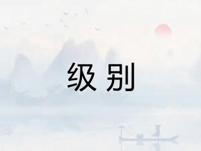 级别 级别