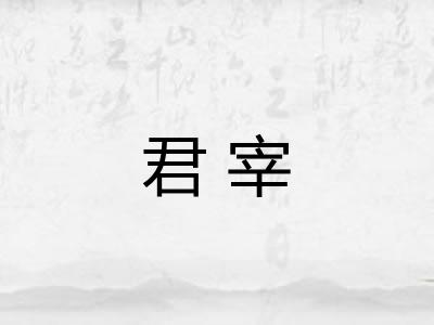 君宰 君宰