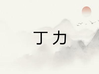 丁力 丁力