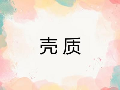 壳质 壳质