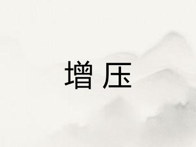 增压 增压
