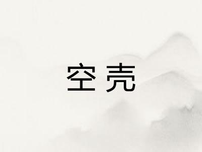 空壳 空壳