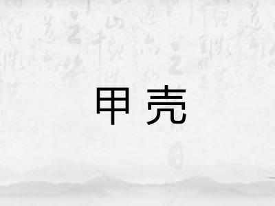 甲壳 甲壳