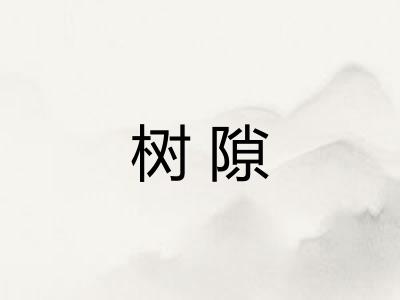 树隙 树隙
