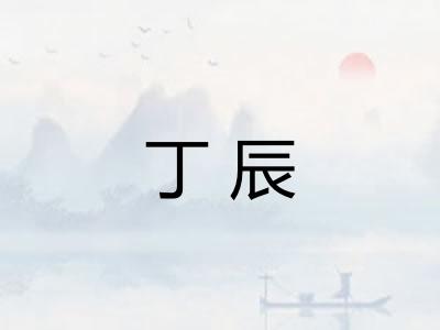 丁辰