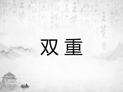 双重 双重
