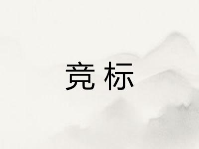 竞标 竞标