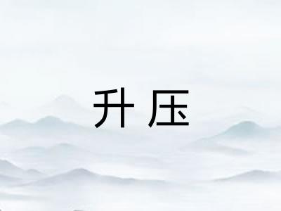升压 升压