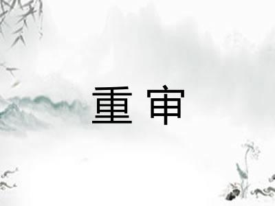 重审