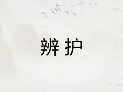 辨护