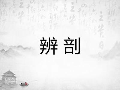 辨剖 辨剖