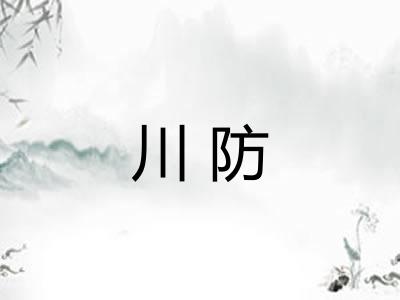川防 川防