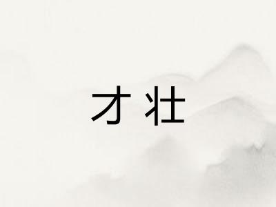 才壮 才壮
