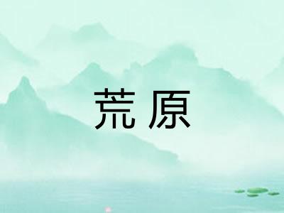 荒原 荒原