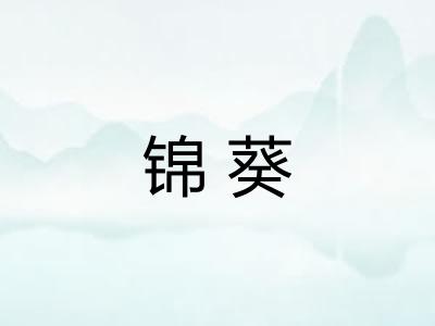 锦葵 锦葵