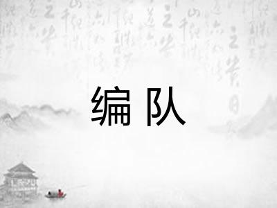 编队 编队