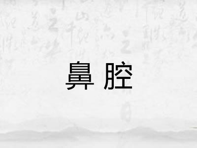 鼻腔 鼻腔
