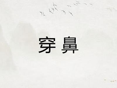 穿鼻 穿鼻