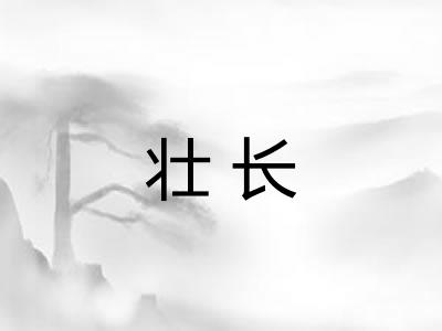 壮长