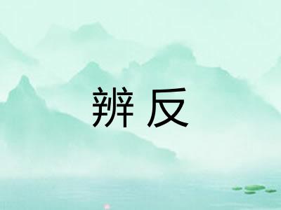 辨反