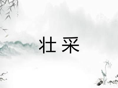 壮采