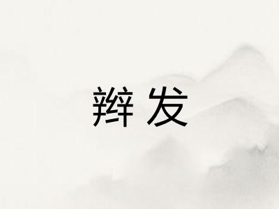 辫发 辫发