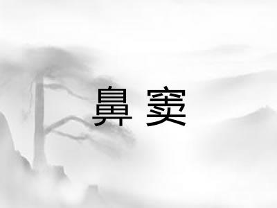 鼻窦 鼻窦