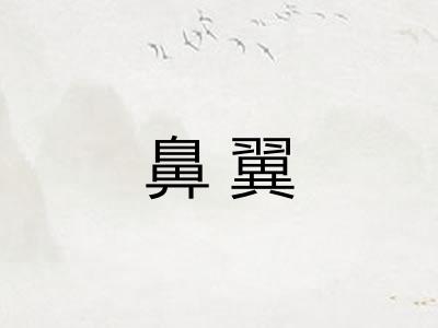 鼻翼 鼻翼