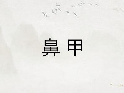 鼻甲