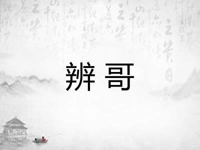 辨哥