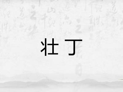 壮丁 壮丁