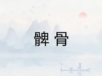 髀骨 髀骨