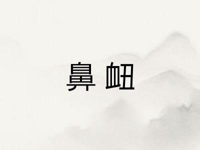 鼻衄