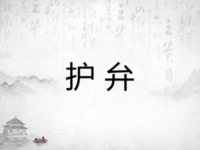 护弁 护弁