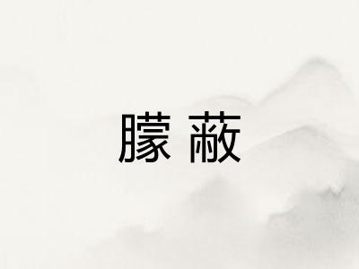 朦蔽 朦蔽