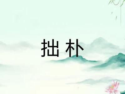 拙朴