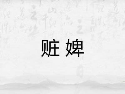 赃婢 赃婢