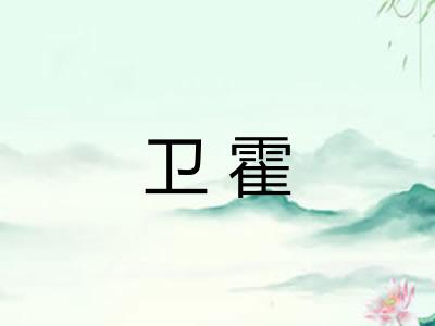 卫霍 卫霍
