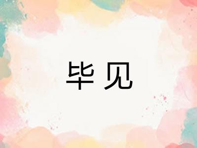 毕见