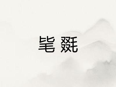 毞毲 毞毲