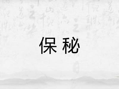 保秘 保秘