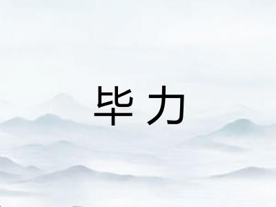 毕力 毕力
