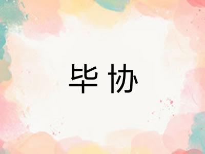 毕协 毕协