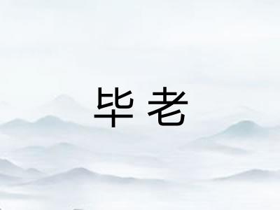 毕老