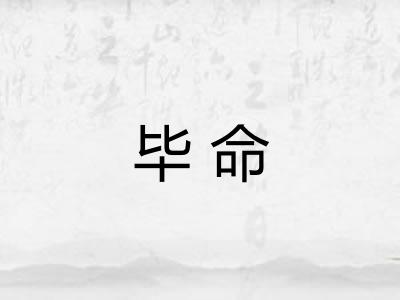毕命 毕命