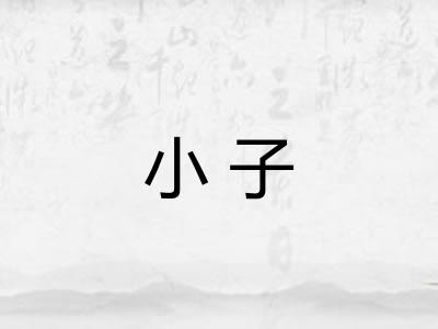 小子 小子