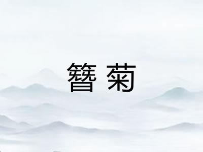 簪菊 簪菊