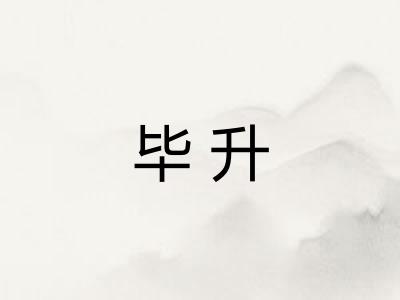 毕升