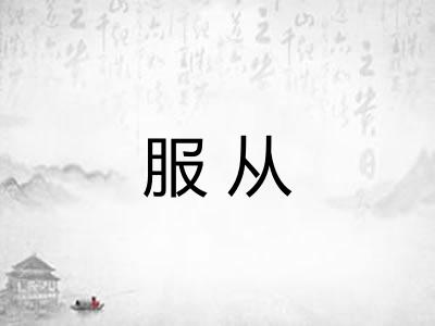 服从 服从