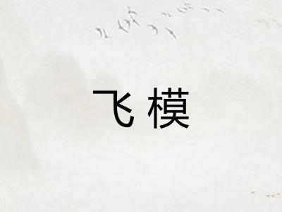 飞模 飞模